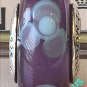 Pandora Retired Charm